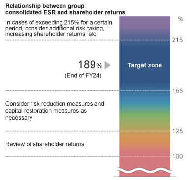 Consolidated Group ESR